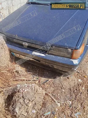 Nissan Sunny para peças